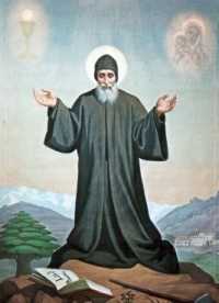 wity Szarbel